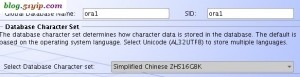 oracle 安装选择字符集