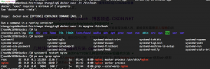 docker systemctl 启动